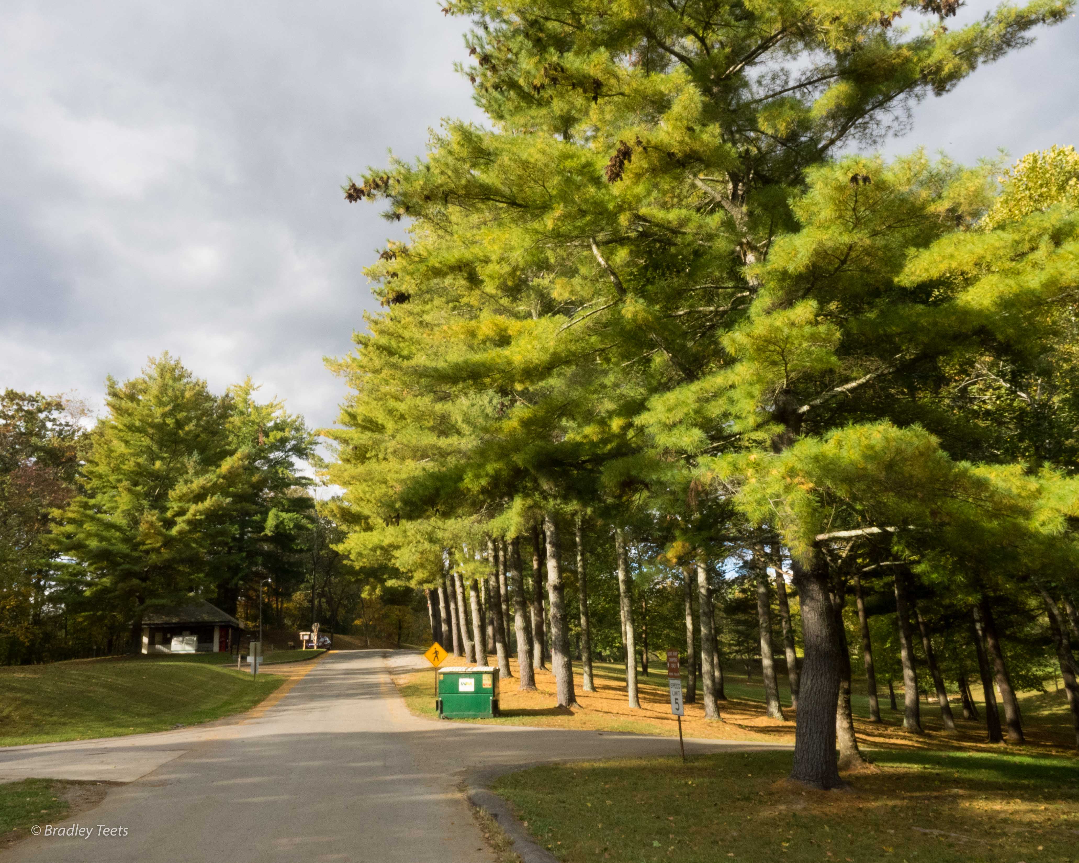 PA220164 Oct 22 2016.jpg